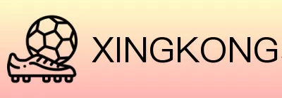 XINGKONG星空体育 Logo